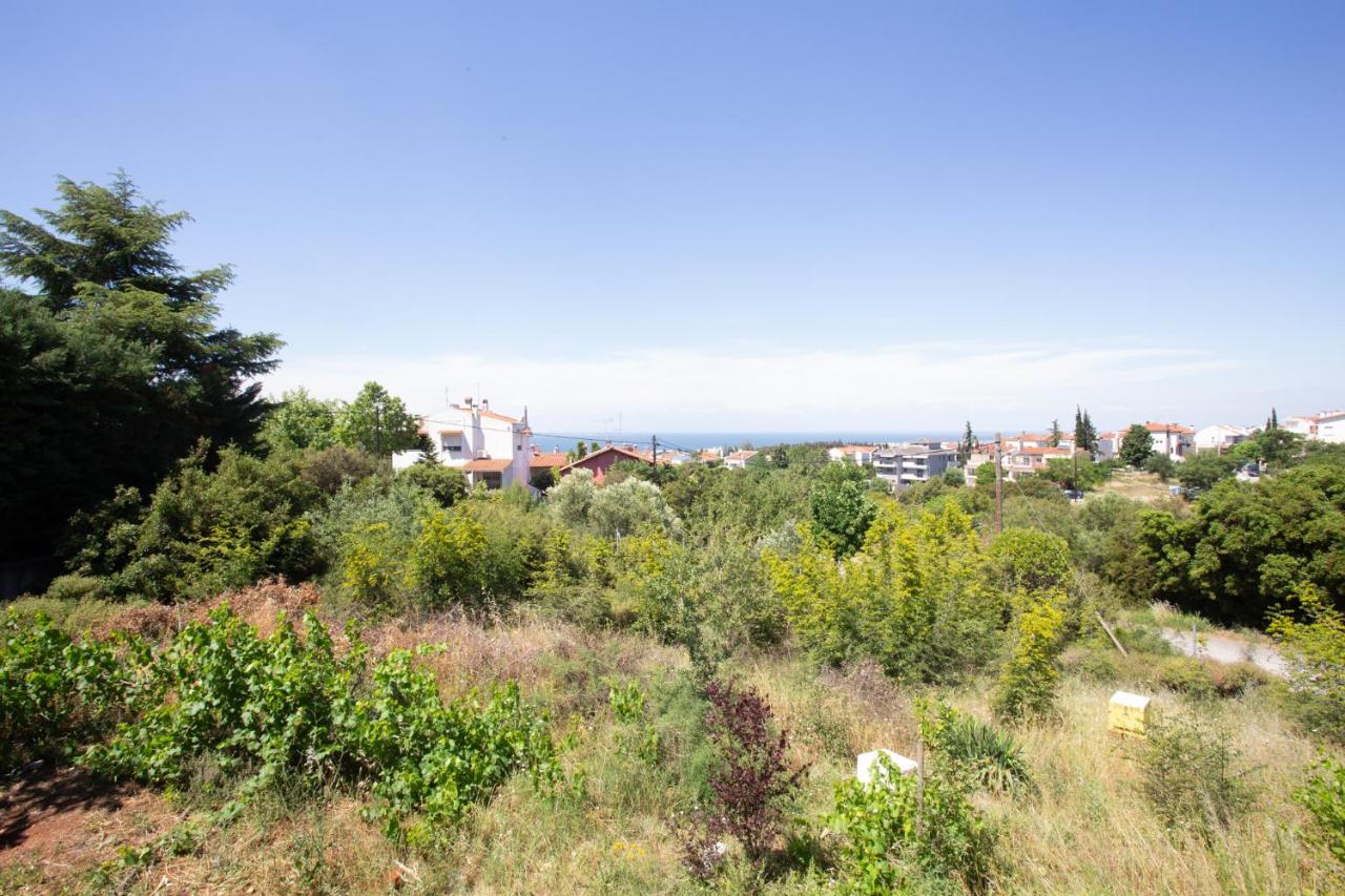 Τraditional Fully Detached Villa On A Luxurious Hillock Of Thessaloniki With Its Own Garden Also For Family & Wedding Gatherings For 10 To 25 People Only 15 Minutes From Airport מראה חיצוני תמונה